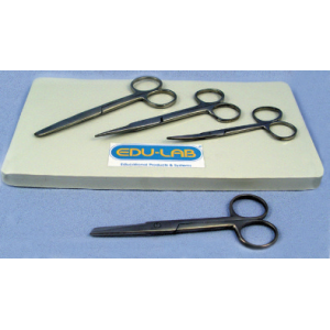 Scissors, Dissecting 125mm s/s - blunt closed shank